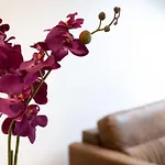 La Cambuse Topdestination-bourg - Centre - Classe 3 Etoiles Apartament *