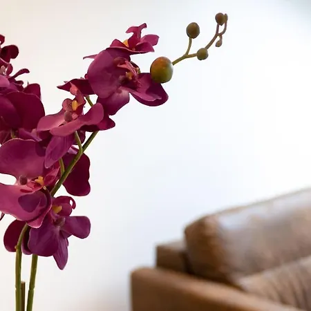 La Cambuse Topdestination-bourg - Centre - Classe 3 Etoiles Apartmán *