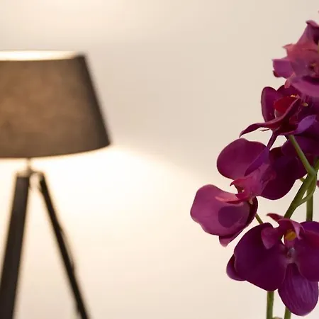 La Cambuse Topdestination-bourg - Centre - Classe 3 Etoiles * Bourg-en-Bresse